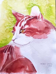 roter Kater